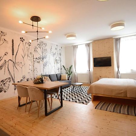 Apartmany Stepankova 85 フルディム エクステリア 写真