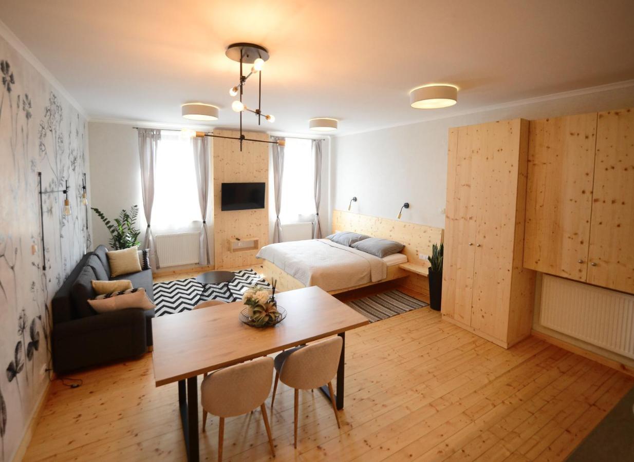 Apartmany Stepankova 85 フルディム エクステリア 写真