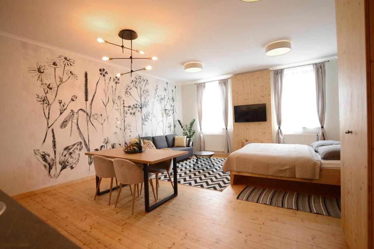 Apartmany Stepankova 85 フルディム エクステリア 写真